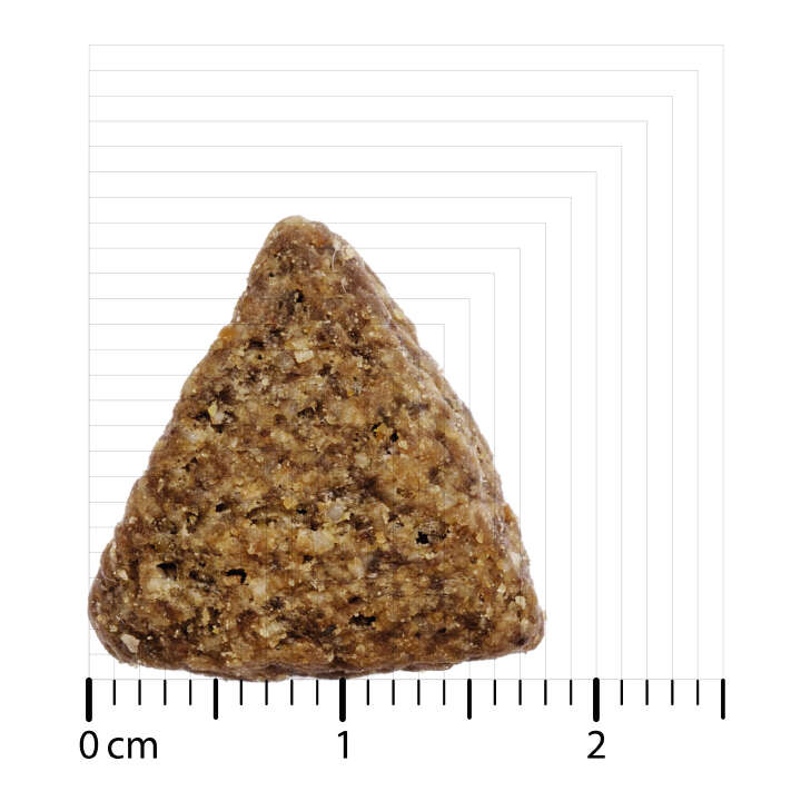 BOZITA Hunde-Trockenfutter Original Adult Sensitive Lamm und Reis